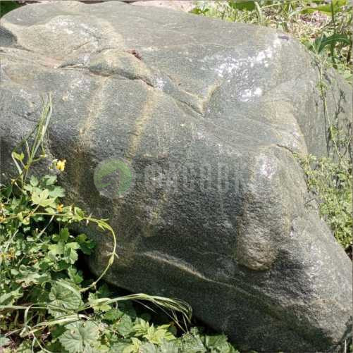 230.jpg